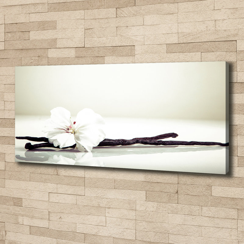 Vanilla Stick 1 Piece Wall Art on Canvas