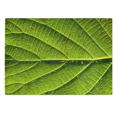Glass Leaf Pathways Chopping Board