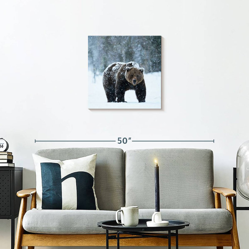 Crowle Winter Brown Bear, 20" H x 20" W