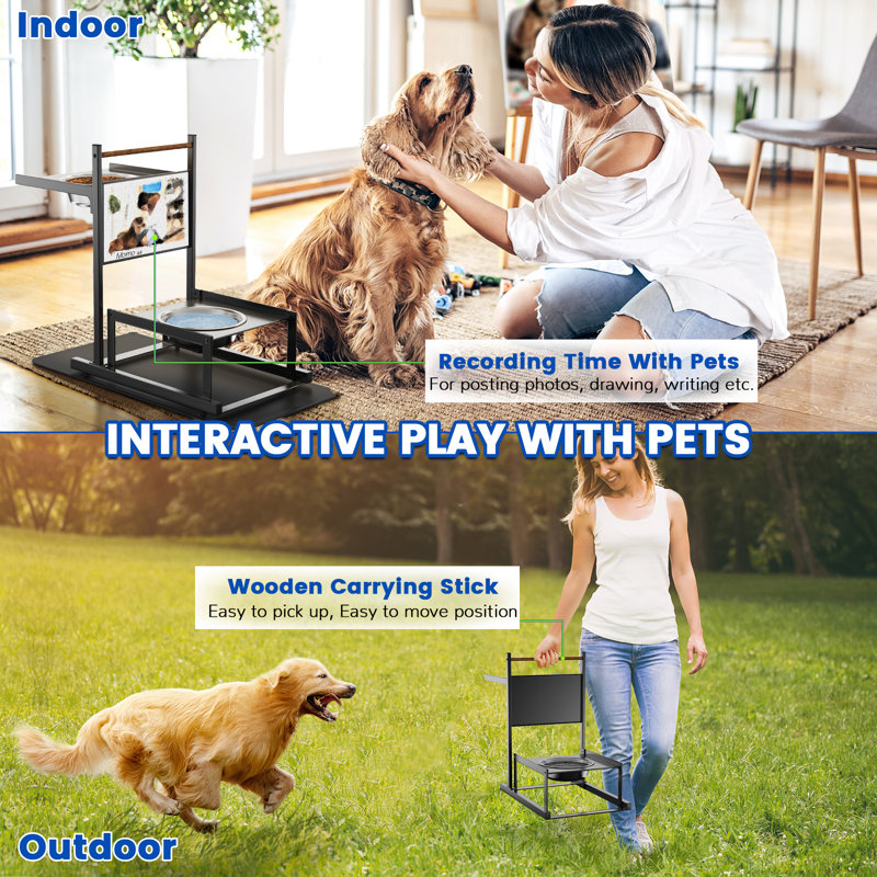 Bols surélevés pour chien avec tapis antidérapant, bols pour animaux de compagnie et eau