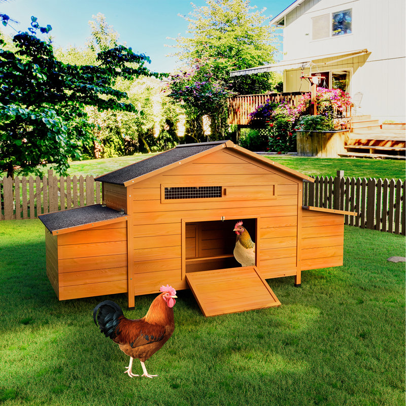 Grand poulailler en bois avec nichoir, toit imperméable, serrure sécurisée, poulailler ventilé