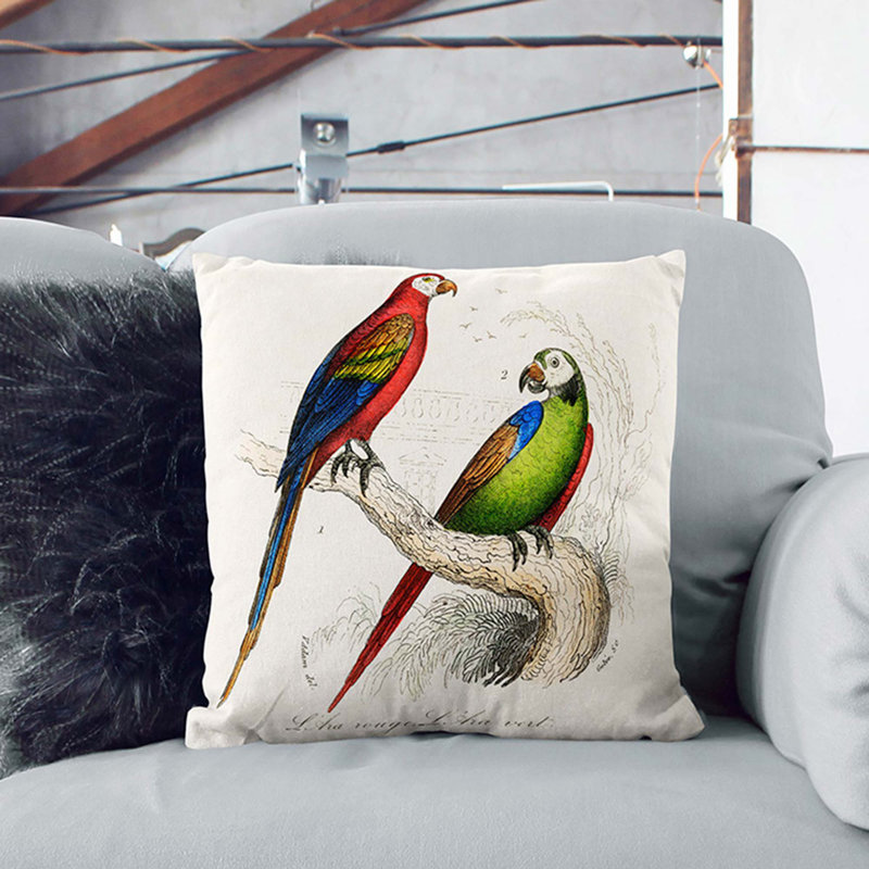 Macaw Cushion with Filling, Black, 55cm H x 55cm W x 20cm D