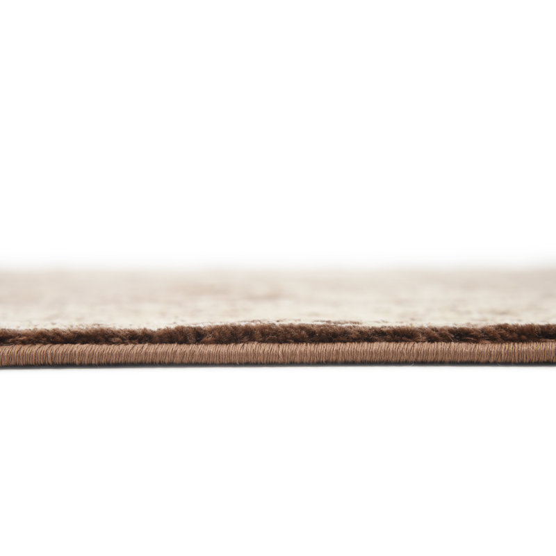 Tapis oriental brun / beige Yareli, Rectangle 2 pi x 3 pi 1 po