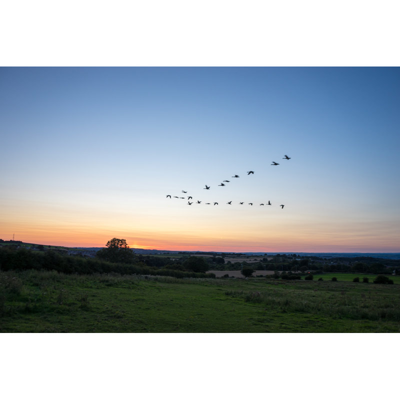 Bird Migration - Wrapped Canvas Print, 20cm H x 30cm W x 3.8cm D