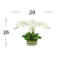 Orchids And Leaves Arranged In An Oblong Clear Glass With Moss And Rocks