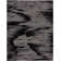 Abstract Area Rug in Black/Ivory