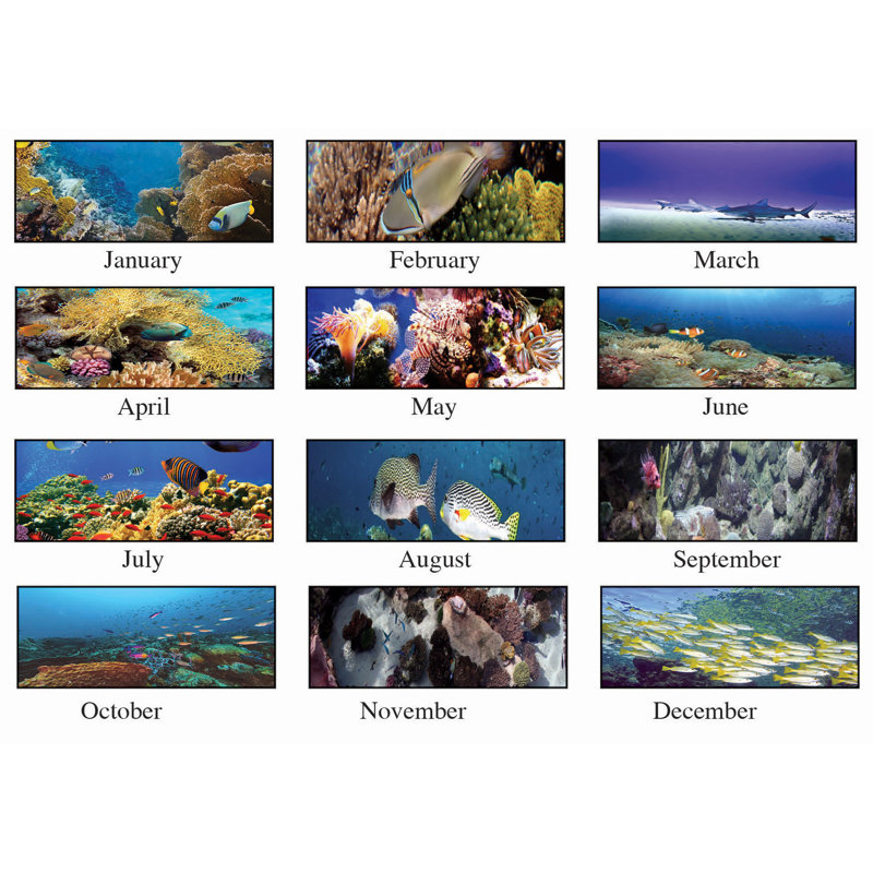 Calendrier pour tapis de bureau sea life, l 22 po x P 17 po