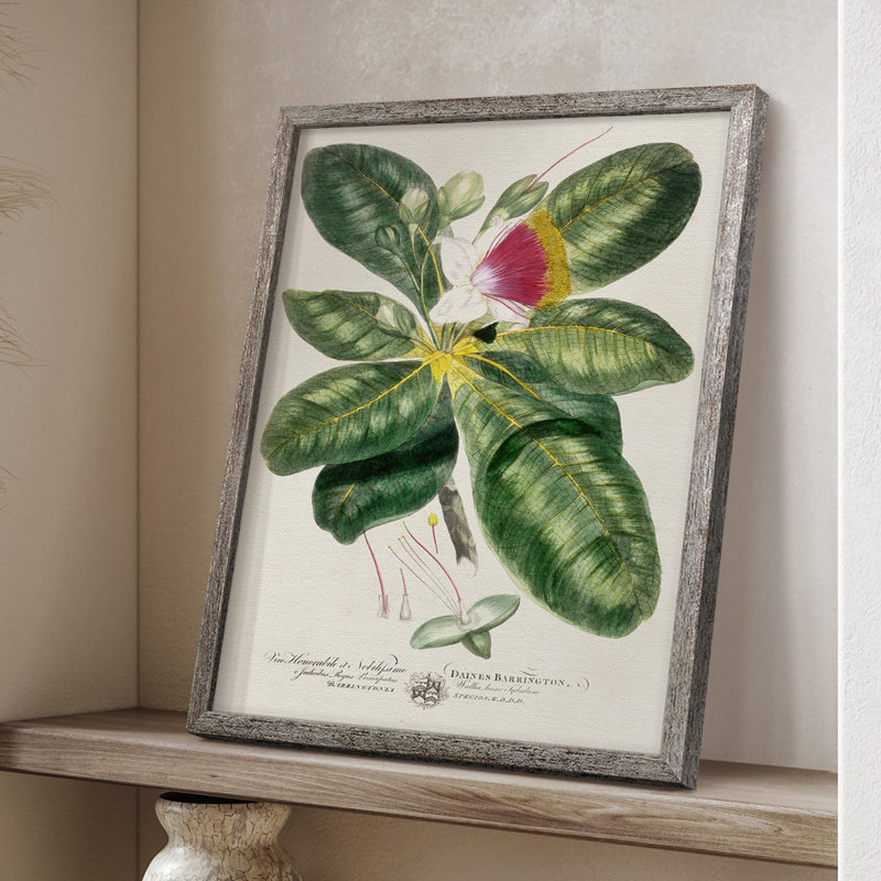«Imperial Tropical Botanical I», reproduction encadrée - bois massif, H 11 po x l 9 po