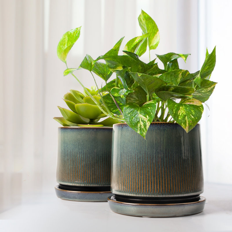Jaysiah Ceramic Pot Planter, Peacock Green