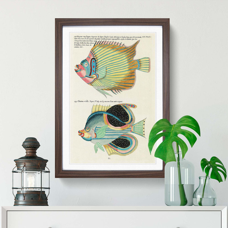 East Indies Fish Illustrations LVI by Louis Renard - Picture Frame Graphic Art Print, 36cm H x 27cm W x 2cm D, Walnut Framed