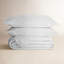 Ensemble de courtepointe en coton standard Marcine-563999470-563999465