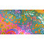 Ensemble de courtepointe réversible en coton Lush Decor Boho Chic-24099407-25314440