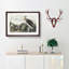 White Ibis Bird & Lobster by John Audubon - Framed Print-55612803-55612806