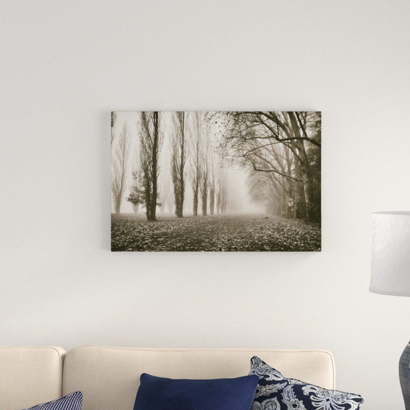 Trees in Fog IV by Jody Stuart - Photograph Print, Wrapped Canvas, 51cm H x 76cm W
