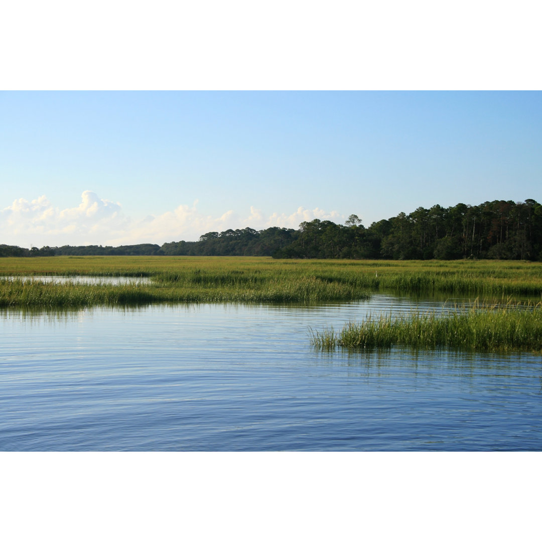 Island Marsh von BeachcottagePhotography - Drucken