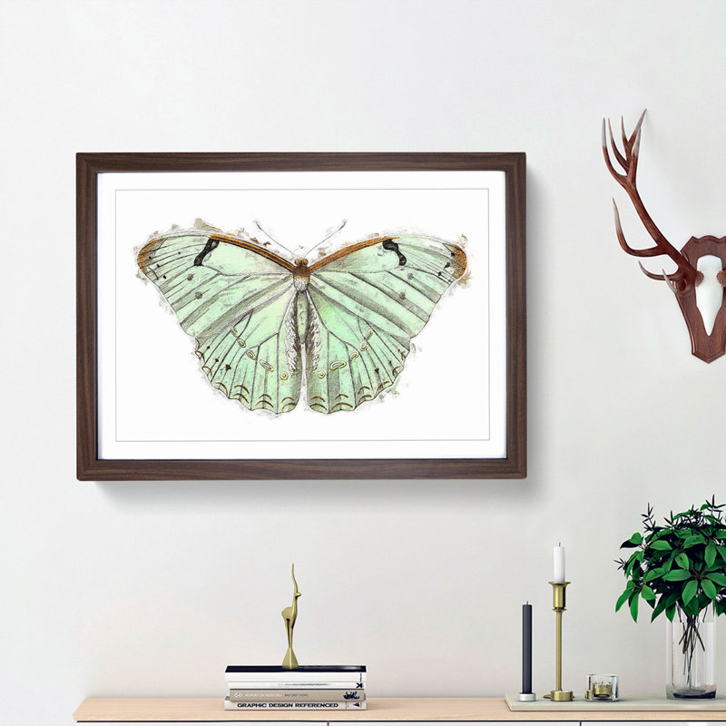 Laertes Butterfly by George Shaw - Framed Print, 27cm H x 36cm W x 2cm D, Walnut Framed