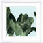 Celadon Palms I by Emma Scarvey-1024856132-1002240012