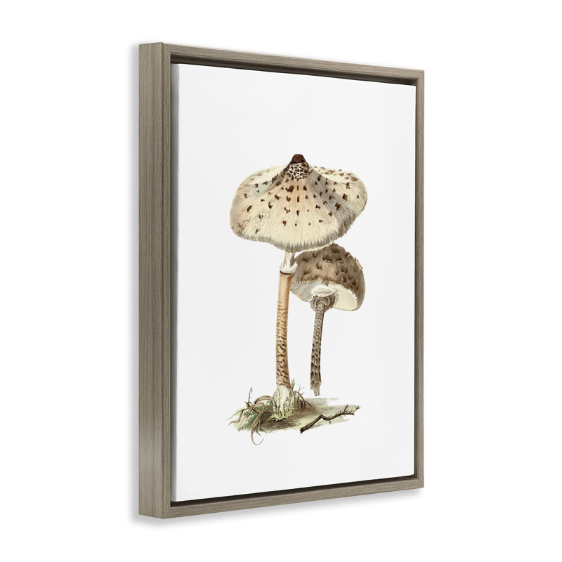 «Neutral Brown Mushroom», art mural encadré flottant par lettré et doublé, Cadre flottant orme Montalcino, H 21 po x l 17 po