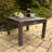 Anette Outdoor Adirondack Chair With Table-818309916