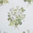 Martha Stewart Eloise Floral Cotton Green Comforter Set-119136853