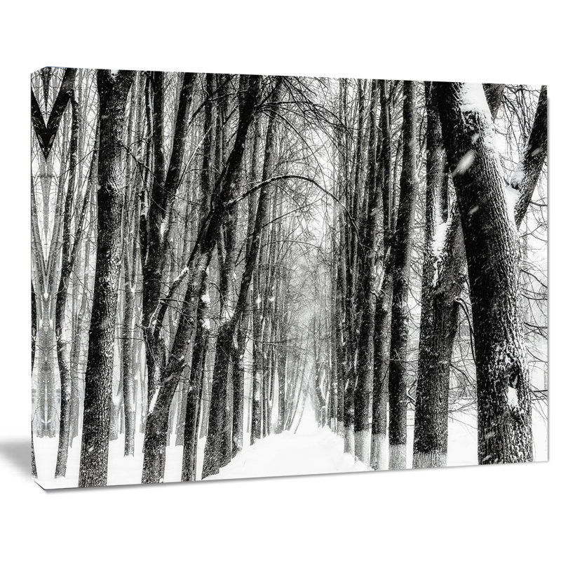 Snowy Forest Black and White Canvas Landscape Print, 12" x 20"