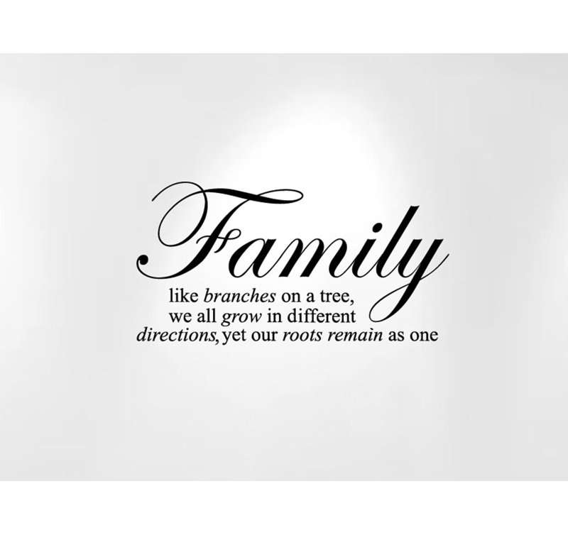 Aidian Non-Wall Damaging Wall Decal, Black