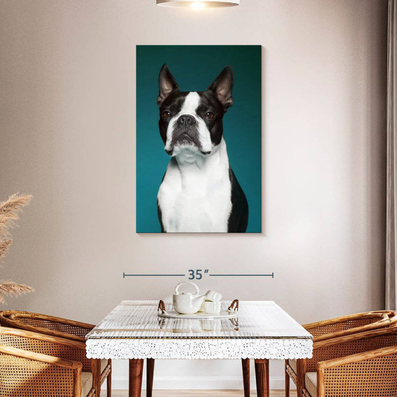 Portrait d'un Terrier de Boston, H 45 po x l 30 po
