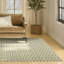 Tapis vert Capodilupo-2045029622