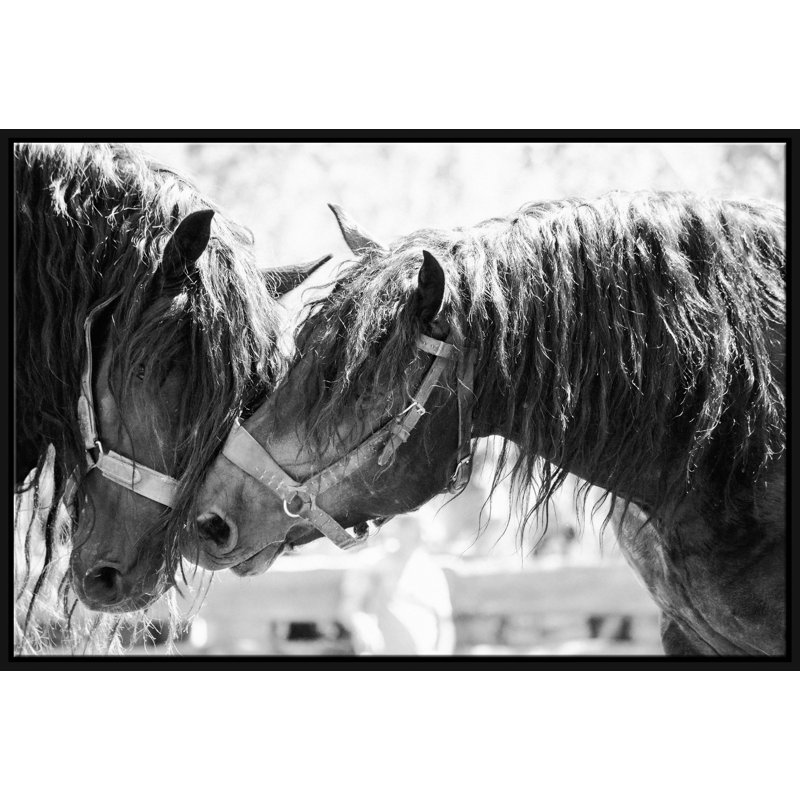 Stallion Love Giclee On Canvas