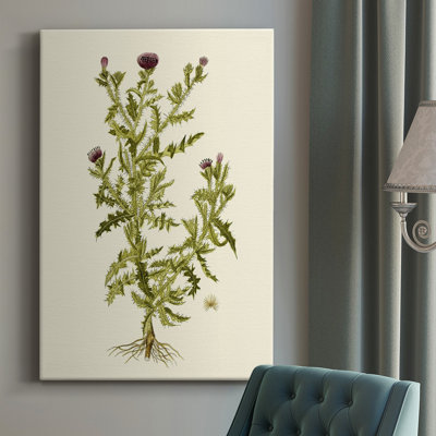 " Olive Greenery II " Painting Print