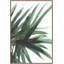 Lush 1 Print by Dan Hobday-259014195