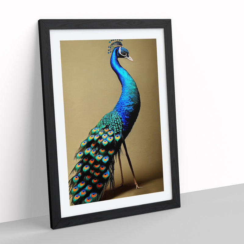 Stunning Peacock - Single Picture Frame Print, Black Framed, 34cm H x 25cm W x 2cm D