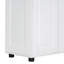 Armoire de rangement (blanc)