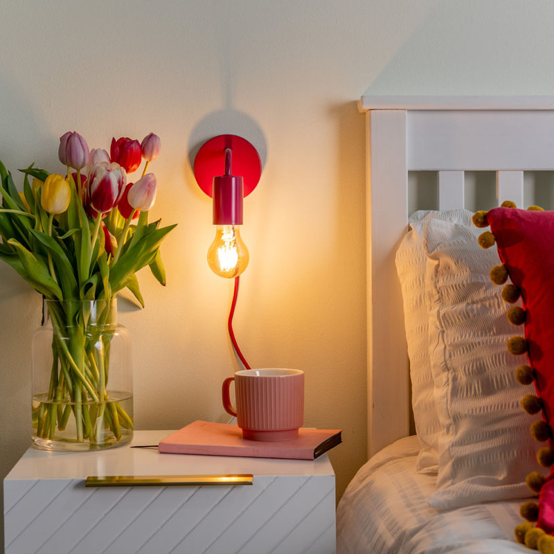 Carmala LED Plug-in Armed Sconce, Yes, Rapsberry, 1