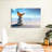 Butterfly Serenity-107699555