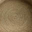 Tiana Rattan/Wicker Decorative Tray