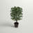 48'' Faux Tree in Wicker/Rattan Basket