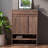 Modern simple storage shoe cabinet