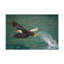 No Frame Print on Canvas