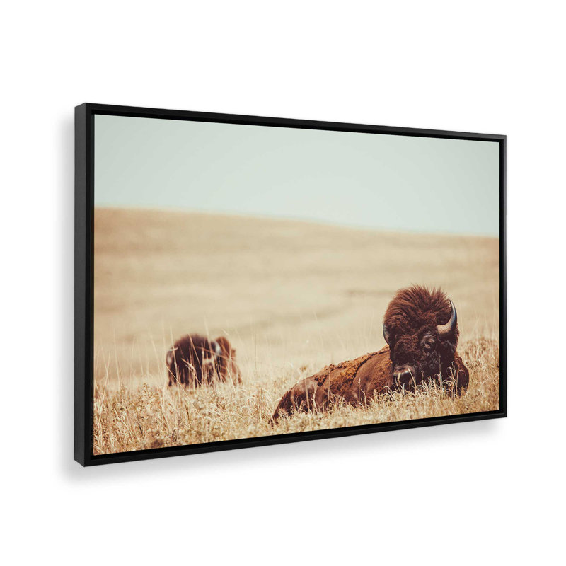 Prairie Giants Resting, reproduction sur toile, Cadre flottant noir satiné, H 20,75 po x l 30,75 po x P 1,75 po