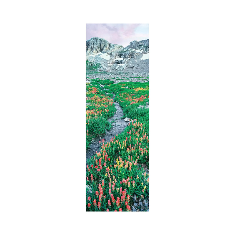 A Meadow Of Indian Paintbrush Flowers, South Fork Cascade Canyon Trail, Grand Teton National Park, Wyoming, USA - Wrapped Canvas Panoramic Print
