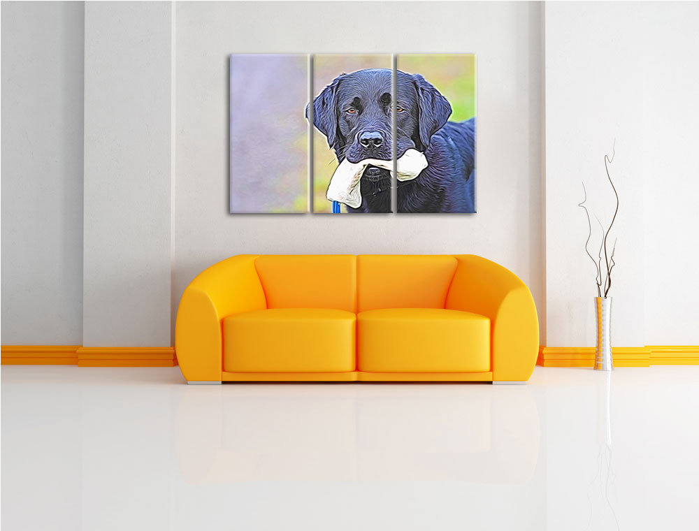 3-tlg. Leinwandbilder-Set „Schwarzer Labrador mit Tuch“, Grafikdruck