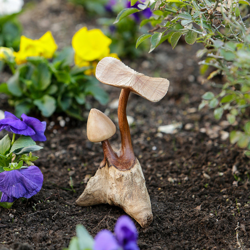 Champignon gitan 5 x 3,5 x 7 po