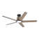 Akhavi Ceiling Fan with LED Lights