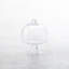 Jupiter Glass Dome Small - fits 8.5" Cake Stand