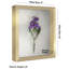 Delcastillo Shadowbox 1.5” Deep Box Frame for Objects with Glass Front-255324612-252754843