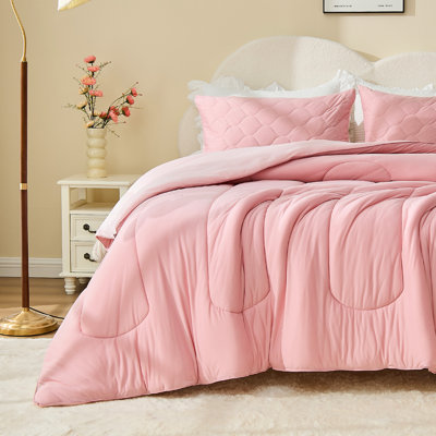 Queen Comforter Sets for Kids and Teens – 3 Pcs All-Season Bedding with Skin-Friendly Lightweight Quilt & Pillowcase