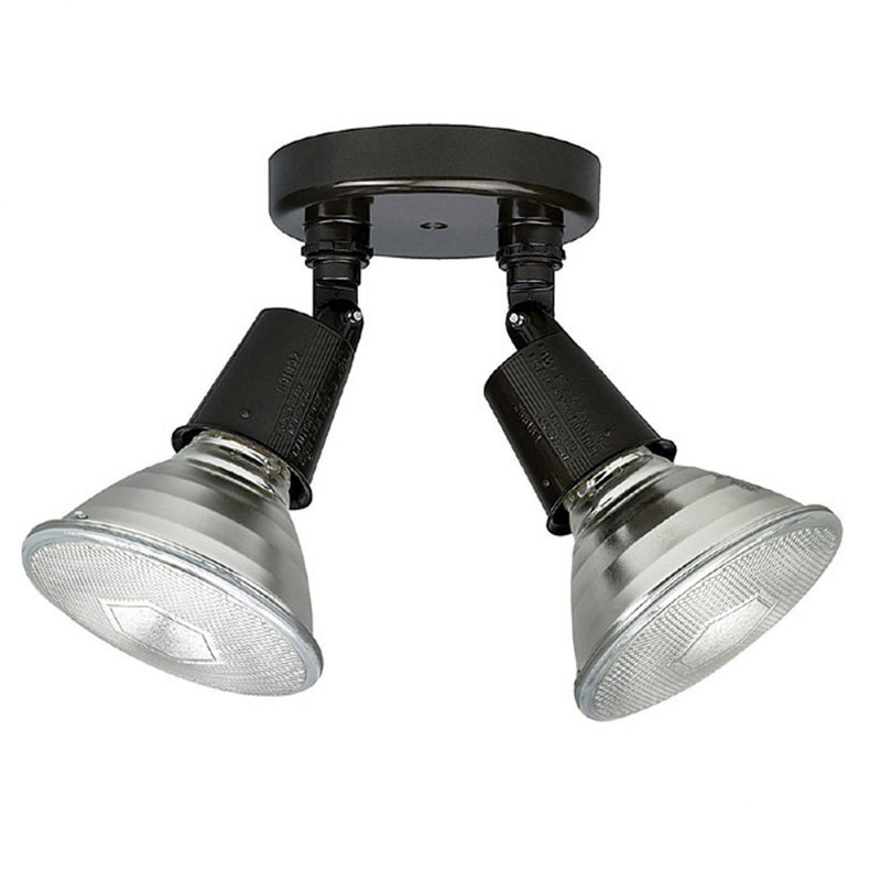 Plafonnier semi-encastré d'extérieur 2 lumières Austie