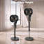 Air Circulator Fan-128550960