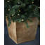 121.92cm H Lighted Artificial Fir Christmas Tree